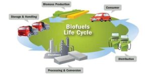 Boosting Performance in Biofuel-Powered Cars