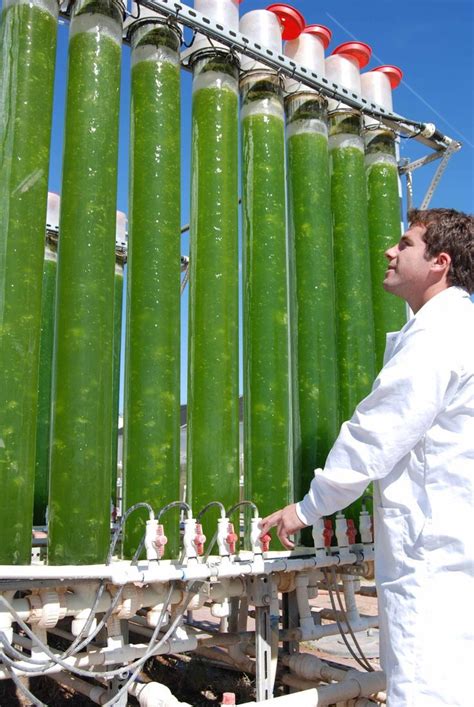 Breaking Limits: High-Performance Upgrades for Algae Fuel Vehicles