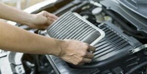 Essential Maintenance Tips for Gasoline Engine Owners