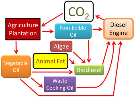 Unlocking the Potential of Biofuels in Diesel Engines